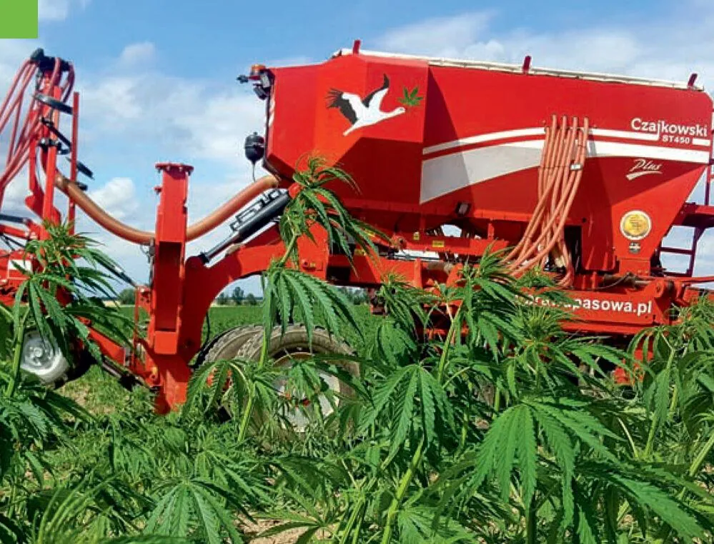 Uprawa pasowa strączkowych, ziół i konopi - wyższe plony i ochrona przed suszą Strączkowe, zioła i konopie — strip-till
